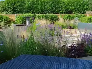 Ornamental grasses, salvia and lavender planting around a water feature