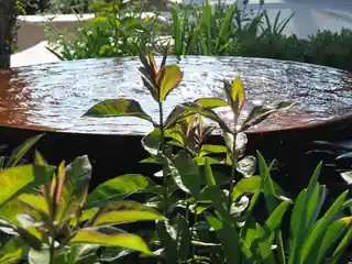 Round copper water feature among planting