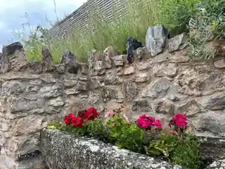 Geraniums in a stone planter on a flint wall